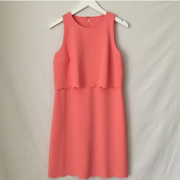 Loft 4 crop illusion scallop - Picture 4 of 7